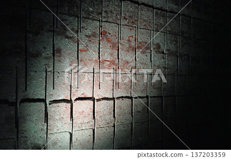 History engraved in the stone walls, revealing the underground texture History engraved in the stone walls, revealing the underground texture 137203359
