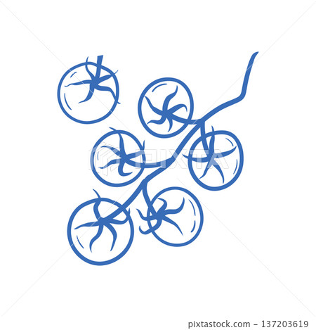 Hand drawn tomatoes on vine  137203619