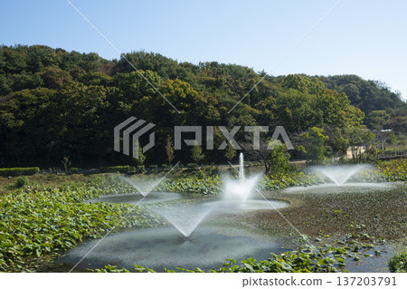 Han River bike path Han River bike path 137203791