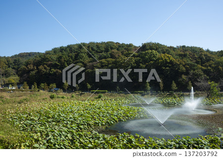 Han River bike path Han River bike path 137203792