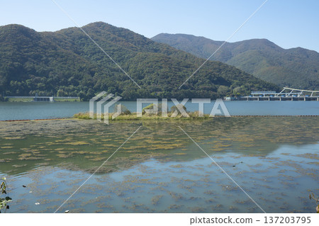 Han River bike path 137203795
