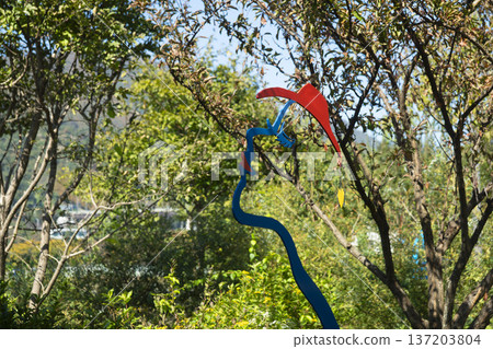 Han River bike path 137203804