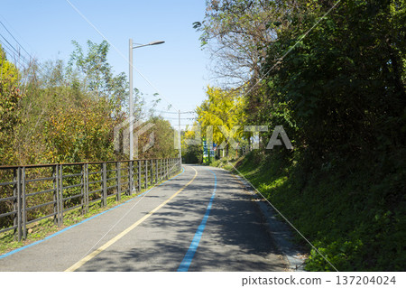 Han River bike path 137204024