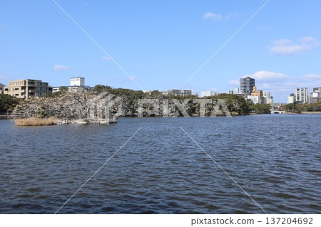 福岡大濠公園 福岡大濠公園 137204692