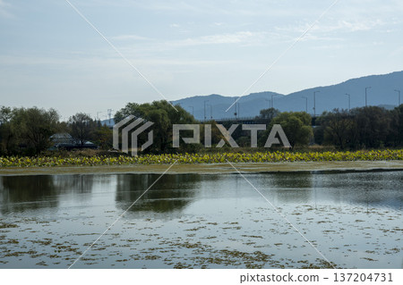 Han River bike path Han River bike path 137204731