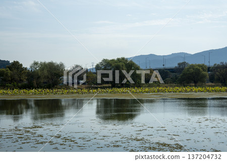 Han River bike path Han River bike path 137204732