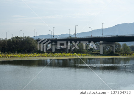 Han River bike path Han River bike path 137204733