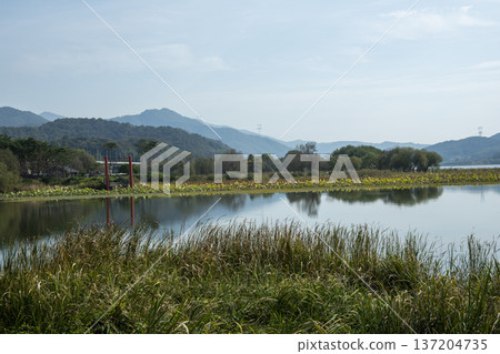 Han River bike path 137204735