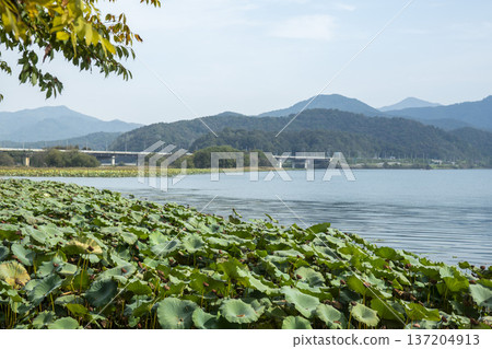Han River bike path Han River bike path 137204913