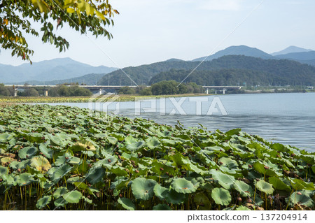 Han River bike path Han River bike path 137204914