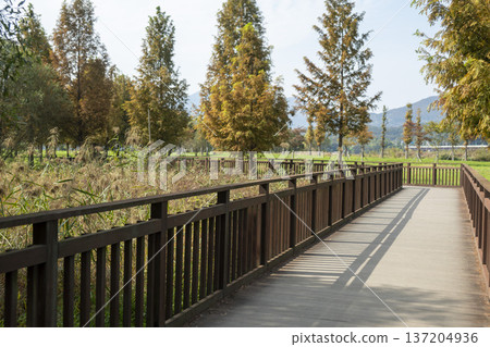 Han River bike path 137204936