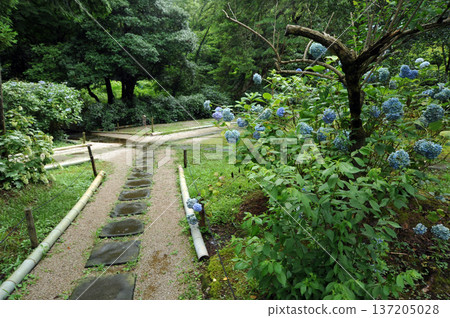 松江月照寺 137205028