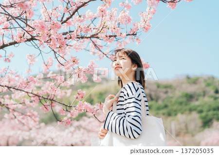 Cherry blossoms and university students 137205035
