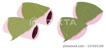 Vector illustration of two types of sakura mochi (Kanto style and Kansai style) 137205199