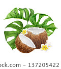 Watercolor illustration of whole and half coconut with monstera leaves and plumeria flowers. Hand painted tropical composition focused on natural food, organic ingredients and healthy lifestyle themes Watercolor illustration of whole and half coconut with monstera leaves and plumeria flowers. Hand painted tropical composition focused on natural food, organic ingredients and healthy lifestyle themes 137205422