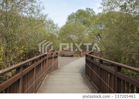 Han River bike path 137205461