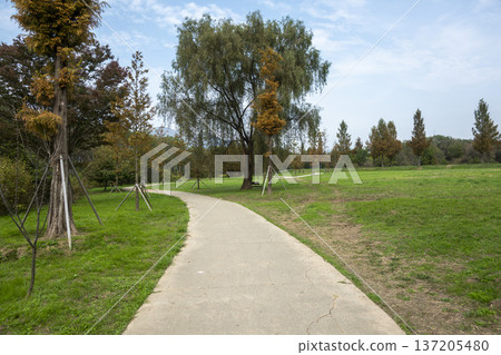 Han River bike path Han River bike path 137205480