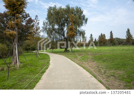 Han River bike path 137205481