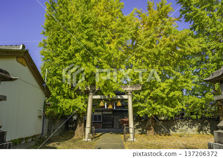 富山縣高岡市高岡吉久神明社 富山縣高岡市高岡吉久神明社 137206372