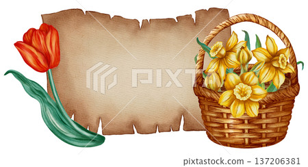 Watercolor horizontal banner with old parchment, red tulip, and narcissus flowers bouquet. Hand drawn spring floral template for text. Perfect for cards, invitations, packaging, and seasonal decor Watercolor horizontal banner with old parchment, red tulip, and narcissus flowers bouquet. Hand drawn spring floral template for text. Perfect for cards, invitations, packaging, and seasonal decor 137206381
