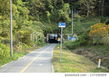 Han River bike path 137206909