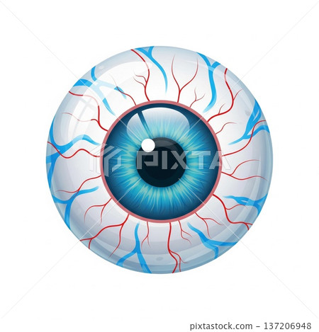 Detailed Illustration of a Blue Eyeball with Veins on a Plain White Background 137206948