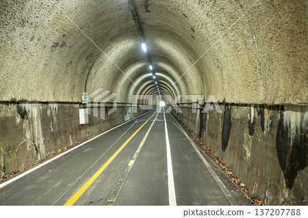 Han River bike path 137207788