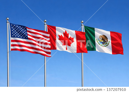 USA, Canada and Mexico World Cup Flags. USA, Canada and Mexico World Cup Flags. 137207910