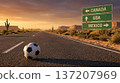 North america hosts soccer world cup 2026. 137207969