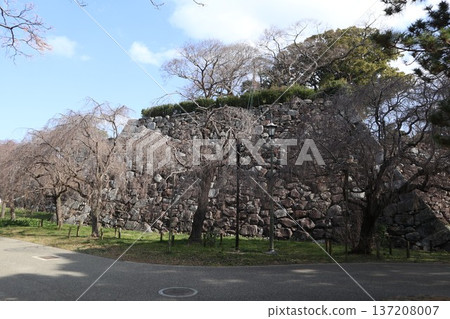 Fukuoka Castle Ruins 137208007