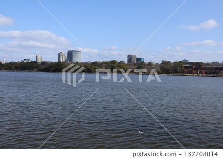 Fukuoka Ohori Park Fukuoka Ohori Park 137208014
