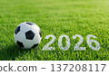 Soccer Ball on Grass Field 2026 Concept. 137208117