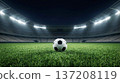 Soccer Ball on Grass Field  137208119