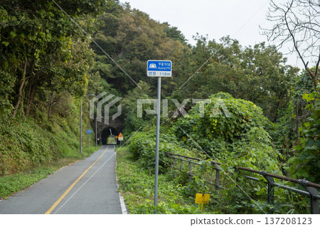 Han River bike path 137208123