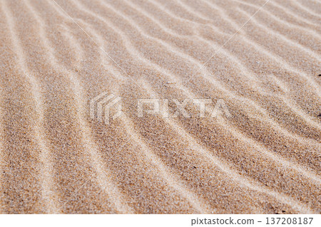 Textured sand dunes with gentle waves and patterns in golden brown tones under natural light 137208187