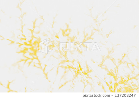 Abstract high-key macro of delicate golden branches on a white background. Ethereal nature pattern with soft lemon tones. Minimalist airy texture for premium design Abstract high-key macro of delicate golden branches on a white background. Ethereal nature pattern with soft lemon tones. Minimalist airy texture for premium design 137208247