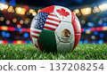 Soccer ball with usa canada mexico flags. 137208254
