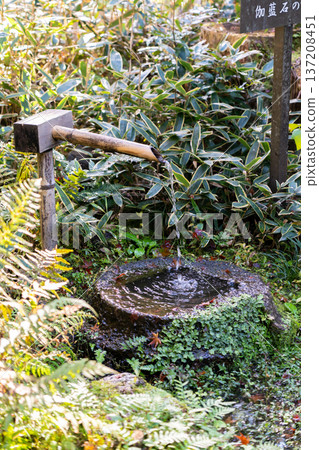 京都、東山泉湧寺、來禦院、觀水亭、伽藍石盆 137208451