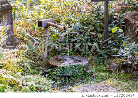京都、東山泉湧寺、來禦院、觀水亭、伽藍石盆 137208454