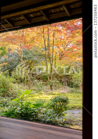 Kyoto, Higashiyama Sennyuji Temple, Raigoin Temple, Autumn leaves in the Kansuien Garden seen from the reception hall Kyoto, Higashiyama Sennyuji Temple, Raigoin Temple, Autumn leaves in the Kansuien Garden seen from the reception hall 137208463