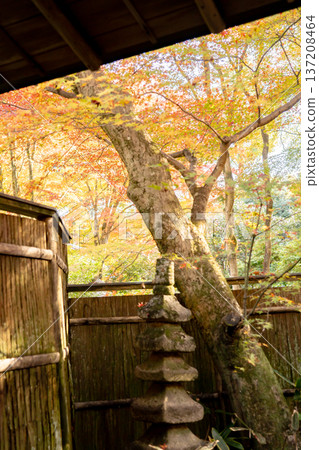 Kyoto, Higashiyama Sennyuji Temple, Raigoin Temple, Autumn leaves in the Kansuien Garden seen from the reception hall Kyoto, Higashiyama Sennyuji Temple, Raigoin Temple, Autumn leaves in the Kansuien Garden seen from the reception hall 137208464