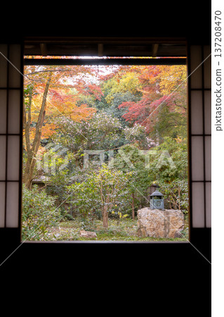 京都,東山千春寺,雷護院,從接待大廳眺望關水園的秋葉 京都,東山千春寺,雷護院,從接待大廳眺望關水園的秋葉 137208470