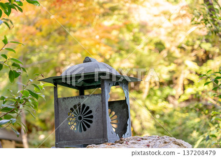 京都、東山泉湧寺、來禦院、觀水園、燈籠和秋天的楓葉 京都、東山泉湧寺、來禦院、觀水園、燈籠和秋天的楓葉 137208479