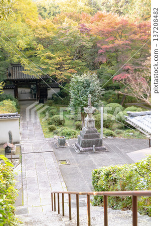 Kyoto, Higashiyama Sennyuji Temple, Raigoin Temple, autumn leaves seen from Sanpo Daikojin Hall Kyoto, Higashiyama Sennyuji Temple, Raigoin Temple, autumn leaves seen from Sanpo Daikojin Hall 137208482