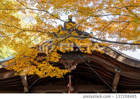 京都、東山泉湧寺、來禦院、三寶大興神堂（前田利家重建）、楓葉 137208485