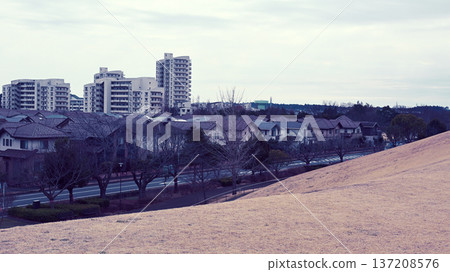 從牧之原公園看到的印西町風貌 從牧之原公園看到的印西町風貌 137208576