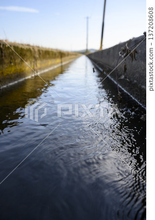 Agricultural canals 137208608