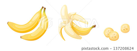 A set of vector images of a whole, peeled banana and its slices 137208624