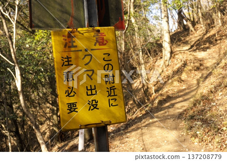 Public warning signs posted on hiking trails warning of bears. Educational materials encouraging caution and safety measures against wild animals. Public warning signs posted on hiking trails warning of bears. Educational materials encouraging caution and safety measures against wild animals. 137208779