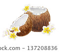 Watercolor illustration of whole and half coconuts with plumeria flowers. Hand painted tropical fruit composition highlighting fresh coconut meat and natural ingredients for food and wellness projects Watercolor illustration of whole and half coconuts with plumeria flowers. Hand painted tropical fruit composition highlighting fresh coconut meat and natural ingredients for food and wellness projects 137208836
